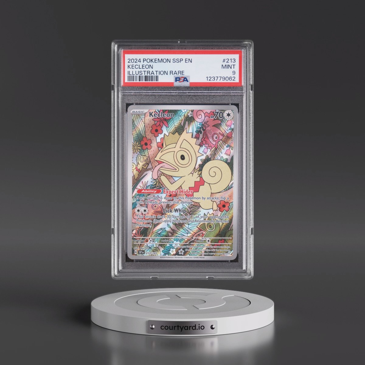 2024 Pokémon Ssp EN-Surging Sparks #213 Kecleon - Illustration Rare (PSA 9 MINT)