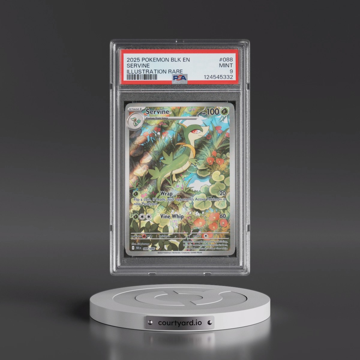 2025 Pokémon Blk EN-Black Bolt #088 Servine - Illustration Rare (PSA 9 MINT)