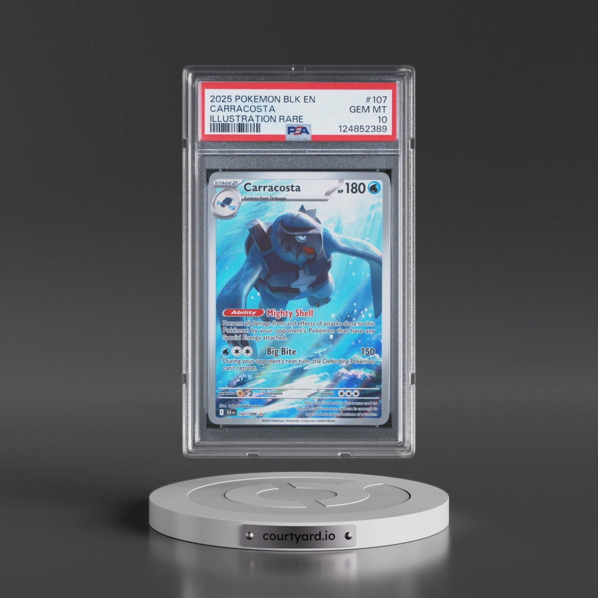 2025 Pokémon Blk EN-Black Bolt #107 Carracosta - Illustration Rare (PSA 10 GEM MINT)