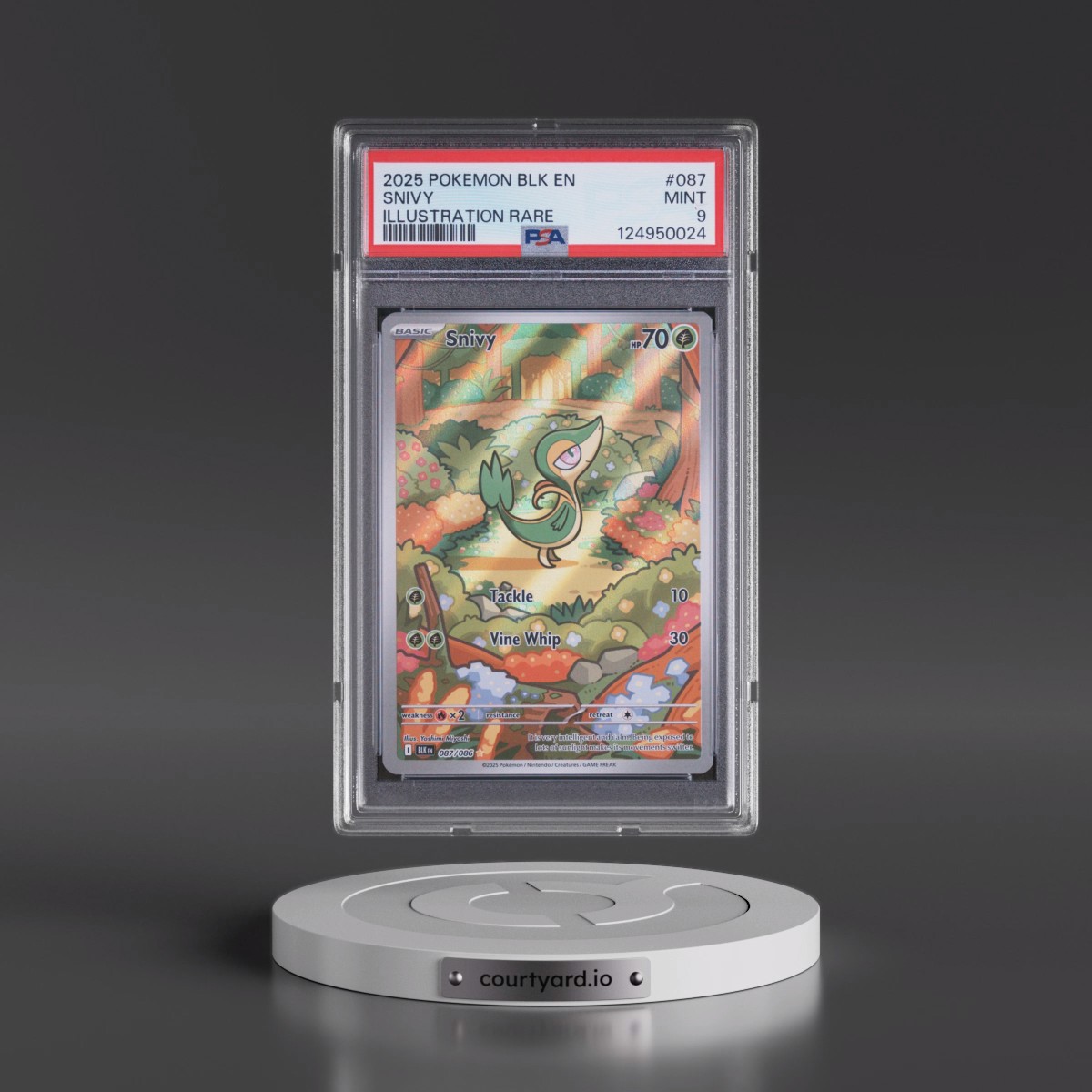 2025 Pokémon Blk EN-Black Bolt #087 Snivy - Illustration Rare (PSA 9 MINT)