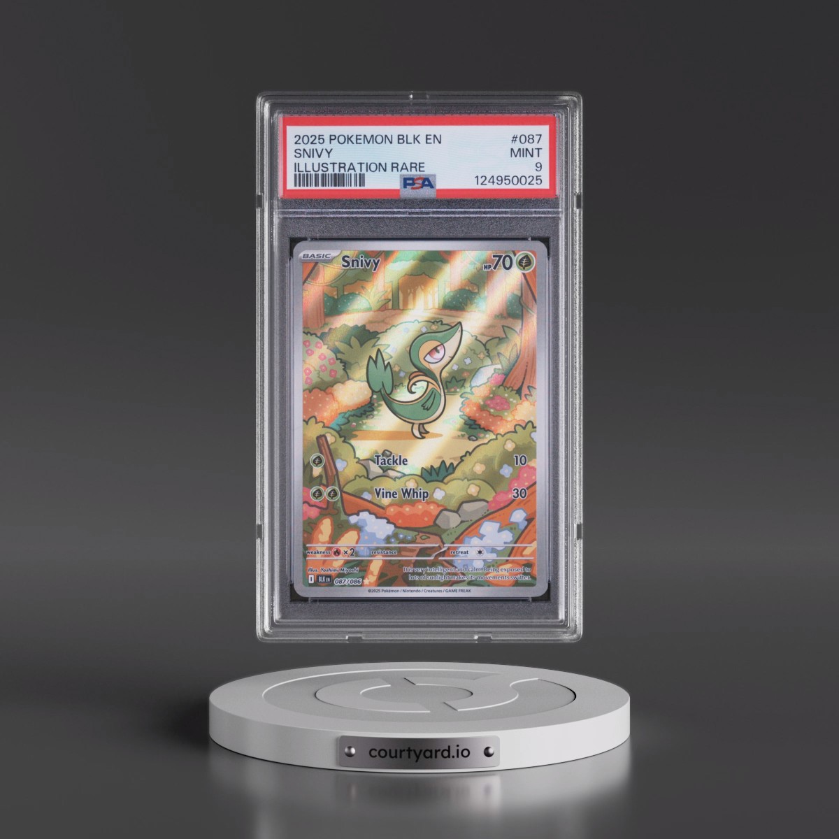 2025 Pokémon Blk EN-Black Bolt #087 Snivy - Illustration Rare (PSA 9 MINT)