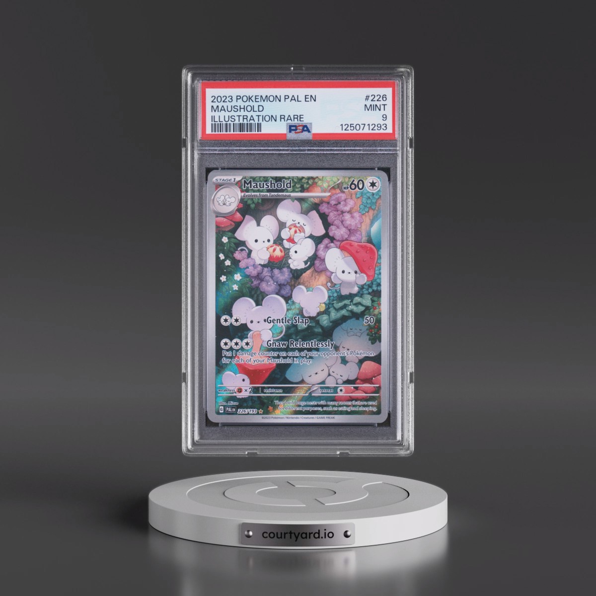 2023 Pokémon Pal EN-Paldea Evolved #226 Maushold - Illustration Rare (PSA 9 MINT)