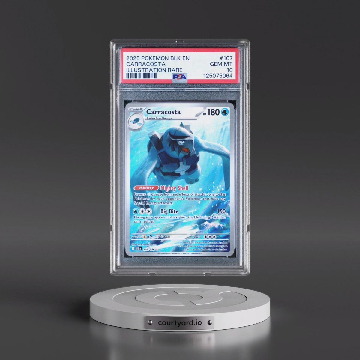 2025 Pokémon Blk EN-Black Bolt #107 Carracosta - Illustration Rare (PSA 10 GEM MINT)