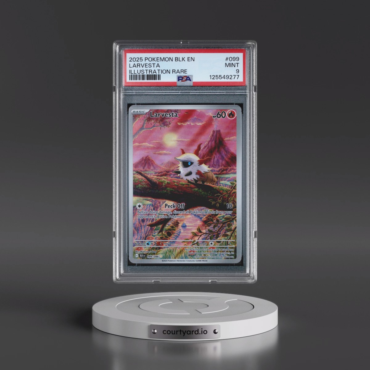 2025 Pokémon Blk EN-Black Bolt #099 Larvesta - Illustration Rare (PSA 9 MINT)