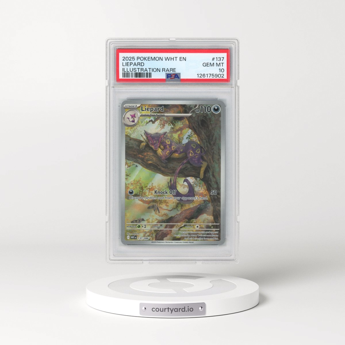2025 Pokémon Wht EN-White Flare #137 Liepard - Illustration Rare (PSA 10 GEM MINT)