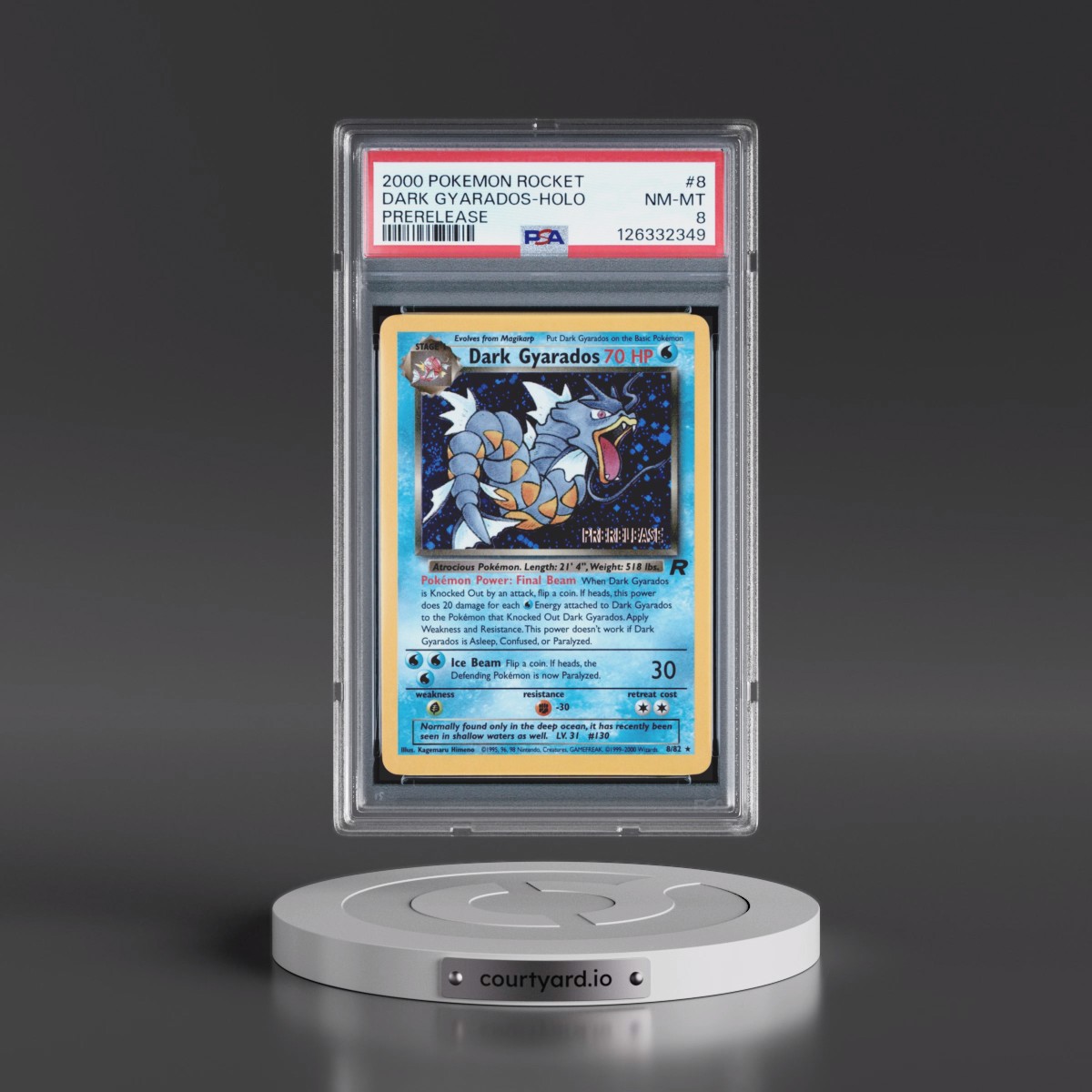 2000 Pokémon Rocket #8 Dark Gyarados - Holo Prerelease (PSA 8 NM-MT)
