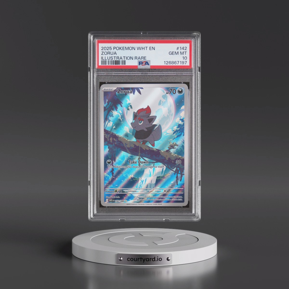 2025 Pokémon Wht EN-White Flare #142 Zorua - Illustration Rare (PSA 10 GEM MINT)