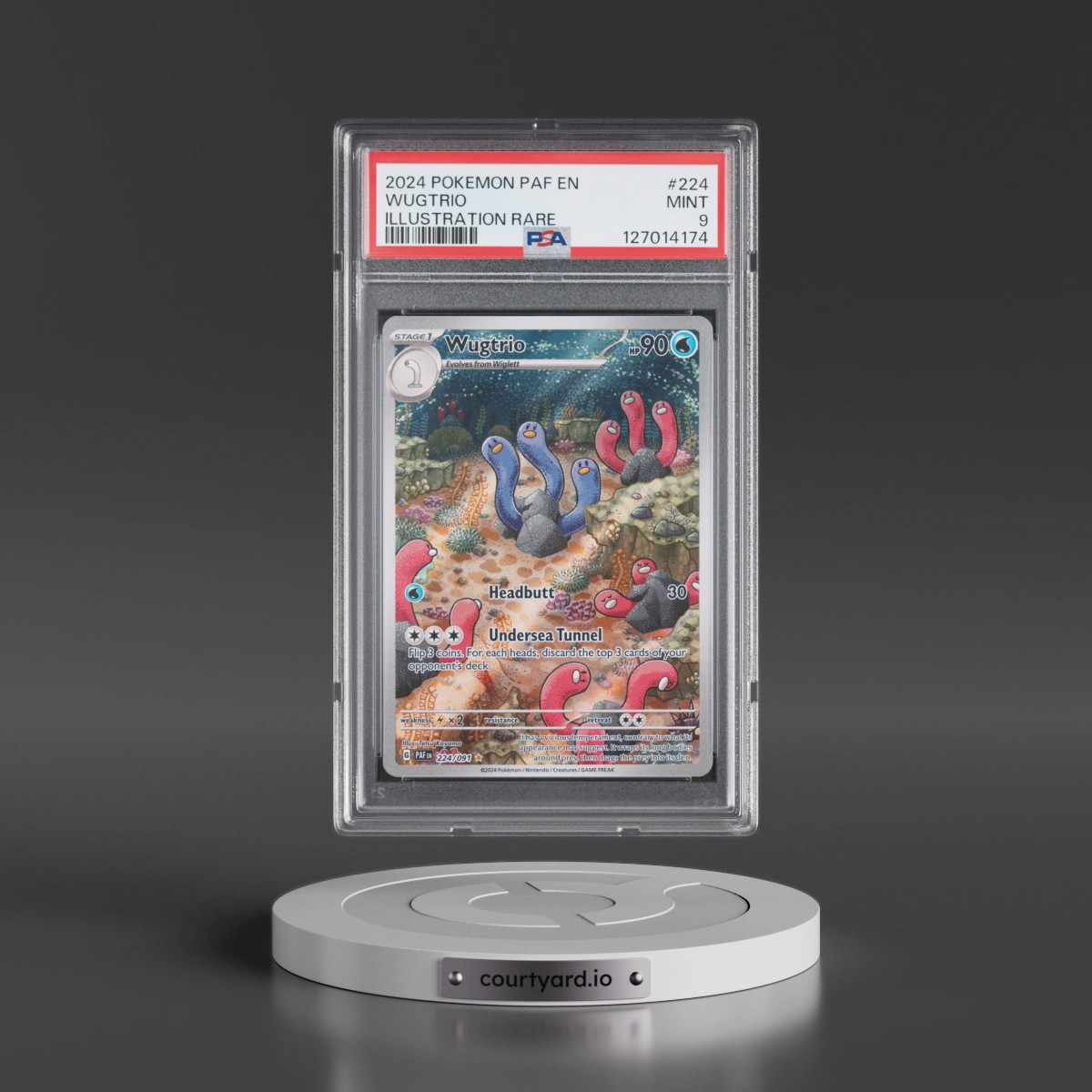 2024 Pokémon Paf EN-Paldean Fates #224 Wugtrio - Illustration Rare (PSA 9 MINT)