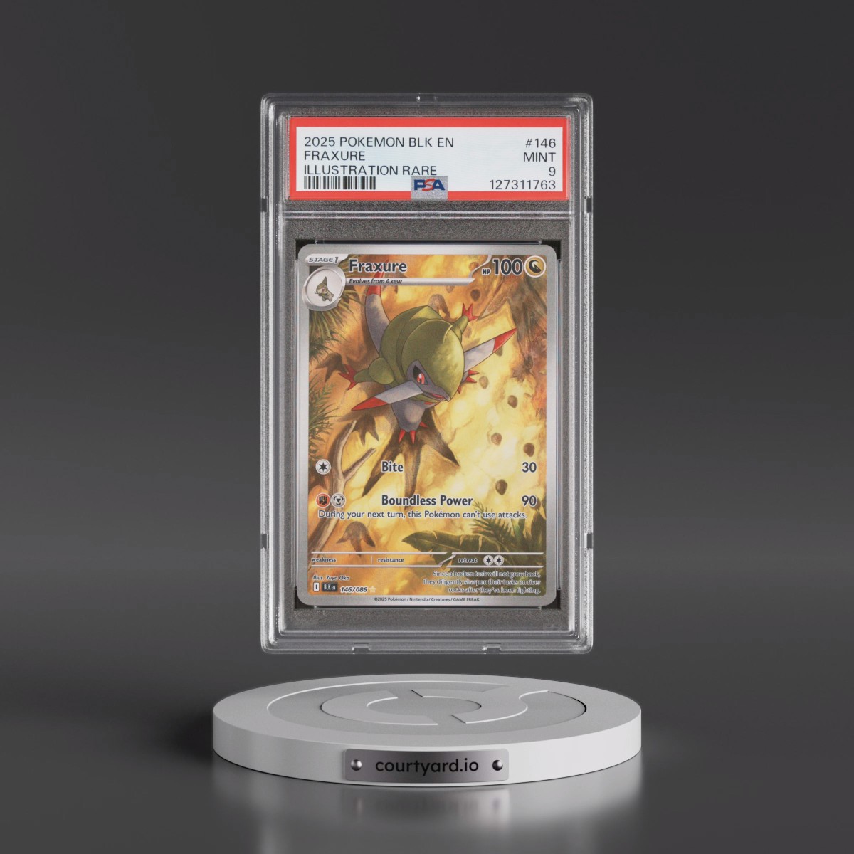 2025 Pokémon Blk EN-Black Bolt #146 Fraxure - Illustration Rare (PSA 9 MINT)