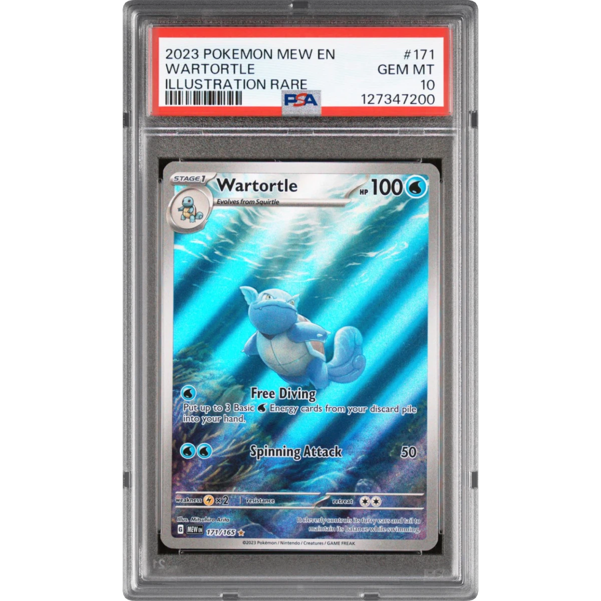 Wartortle card artwork