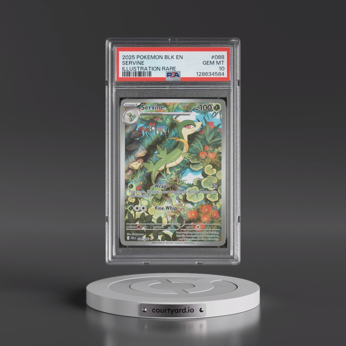 2025 Pokémon Blk EN-Black Bolt #088 Servine - Illustration Rare (PSA 10 GEM MINT)