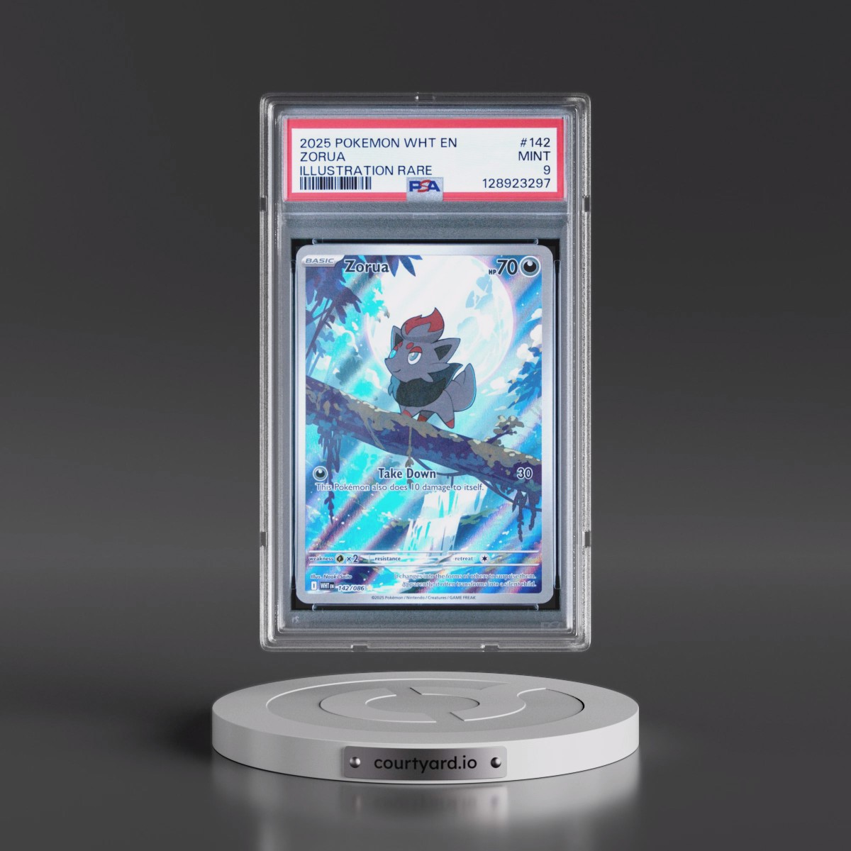 2025 Pokémon Wht EN-White Flare #142 Zorua - Illustration Rare (PSA 9 MINT)