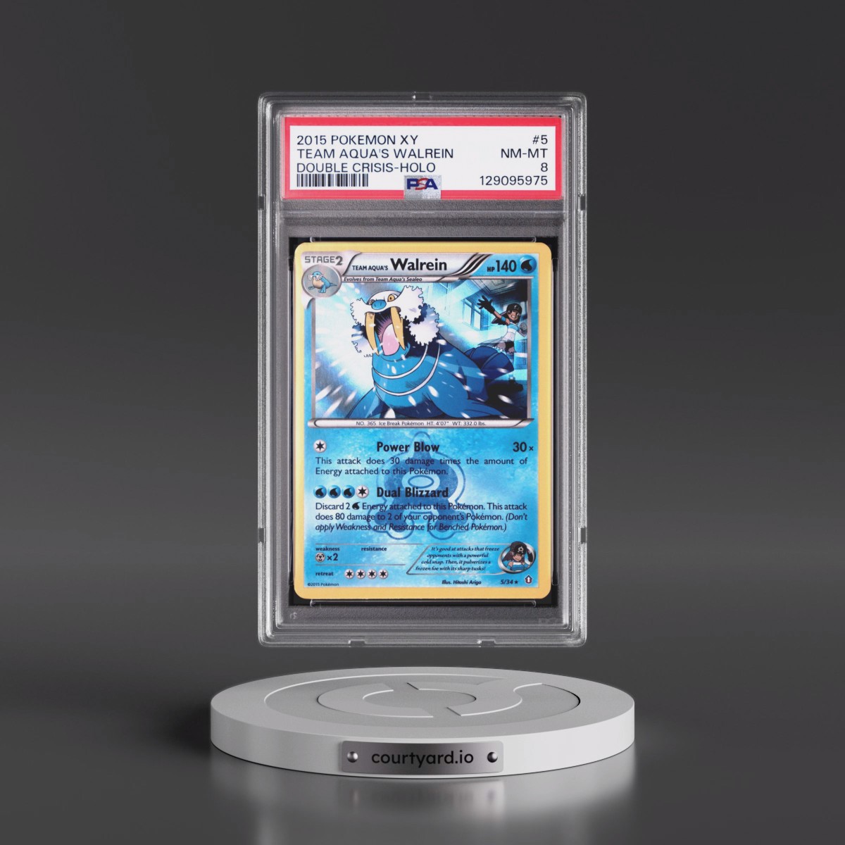 2015 Pokémon XY Double Crisis #5 Team Aqua's Walrein - Holo (PSA 8 NM-MT)