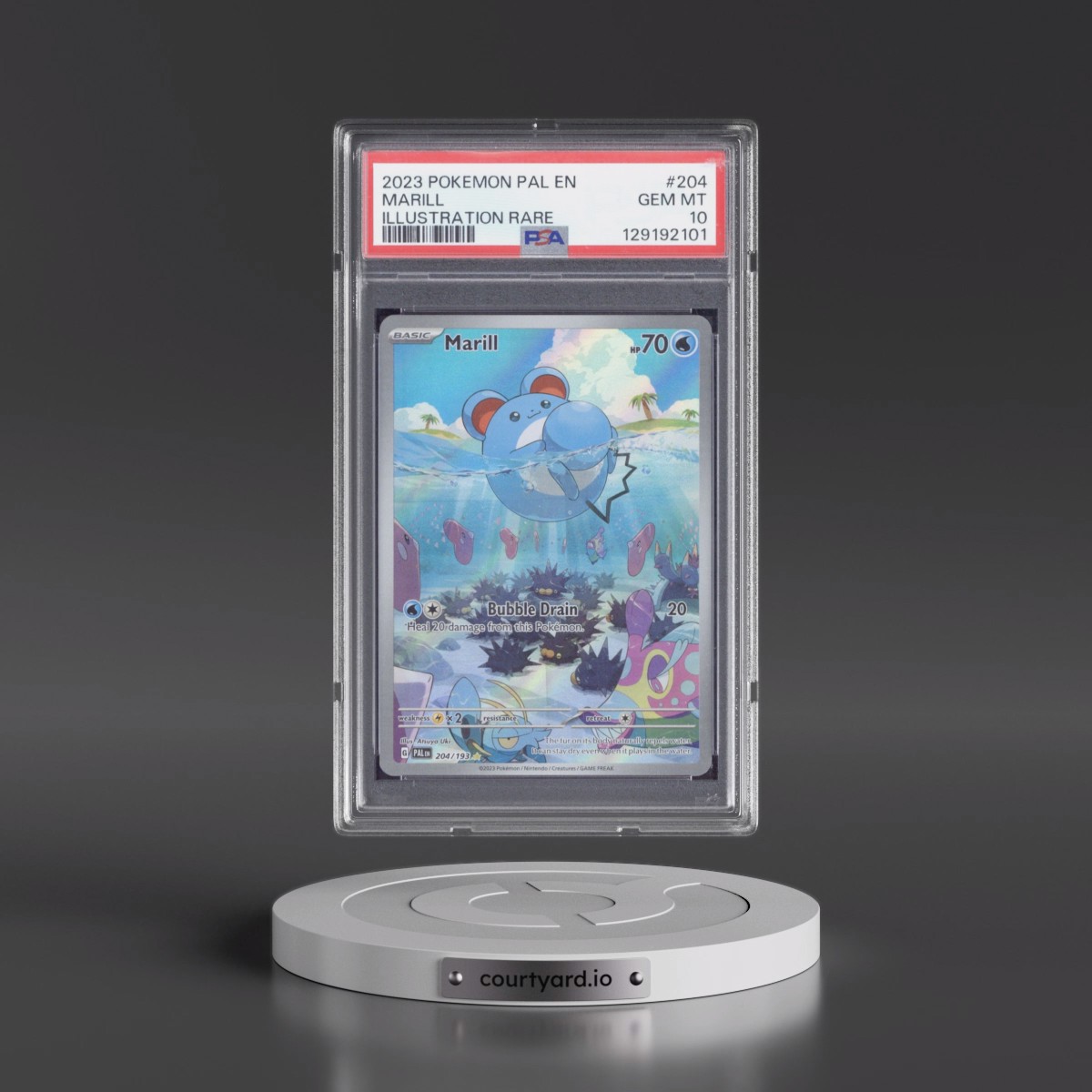 2023 Pokémon Pal EN-Paldea Evolved #204 Marill - Illustration Rare (PSA 10 GEM MINT) - Photo