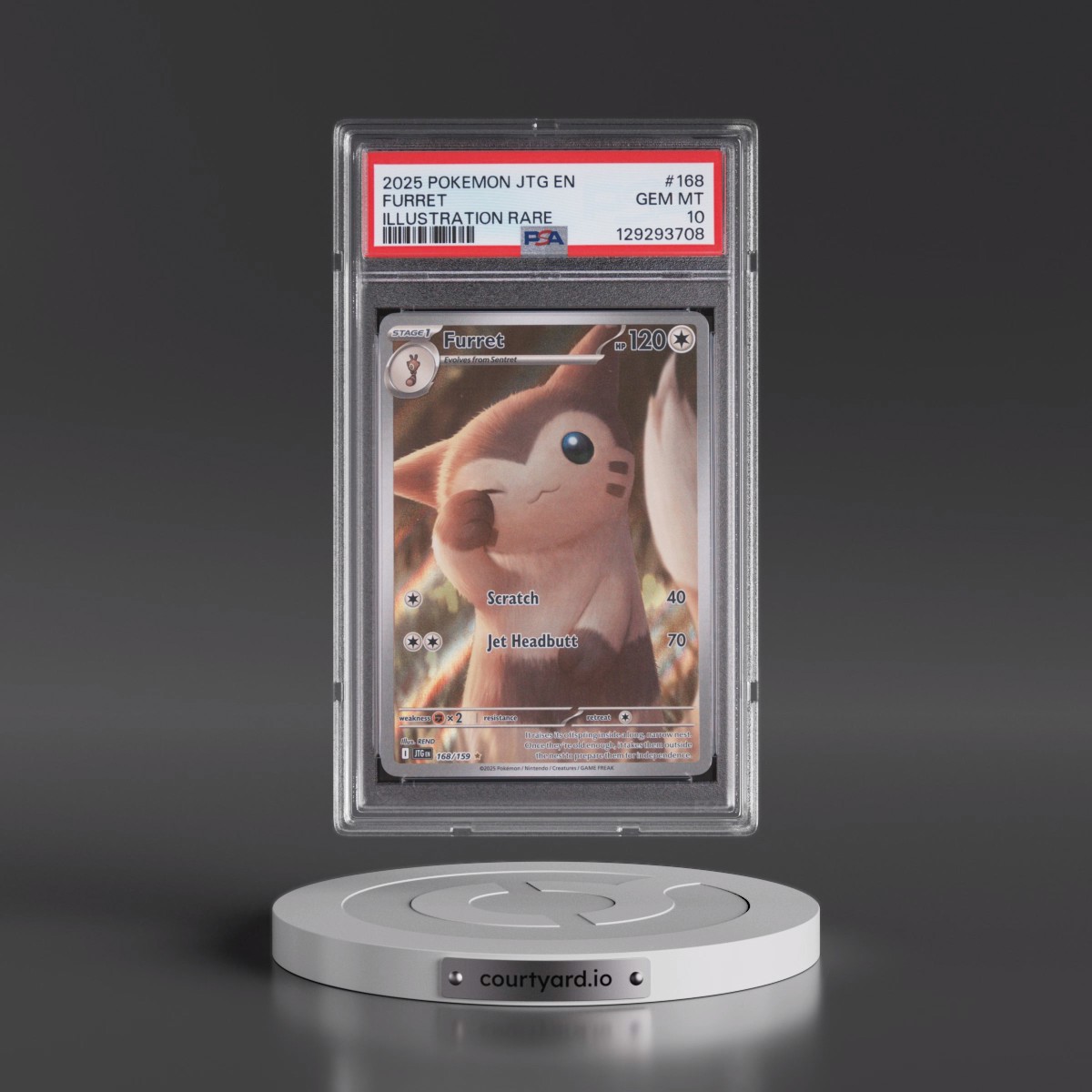 2025 Pokémon Jtg EN-Journey Together #168 Furret - Illustration Rare (PSA 10 GEM MINT)