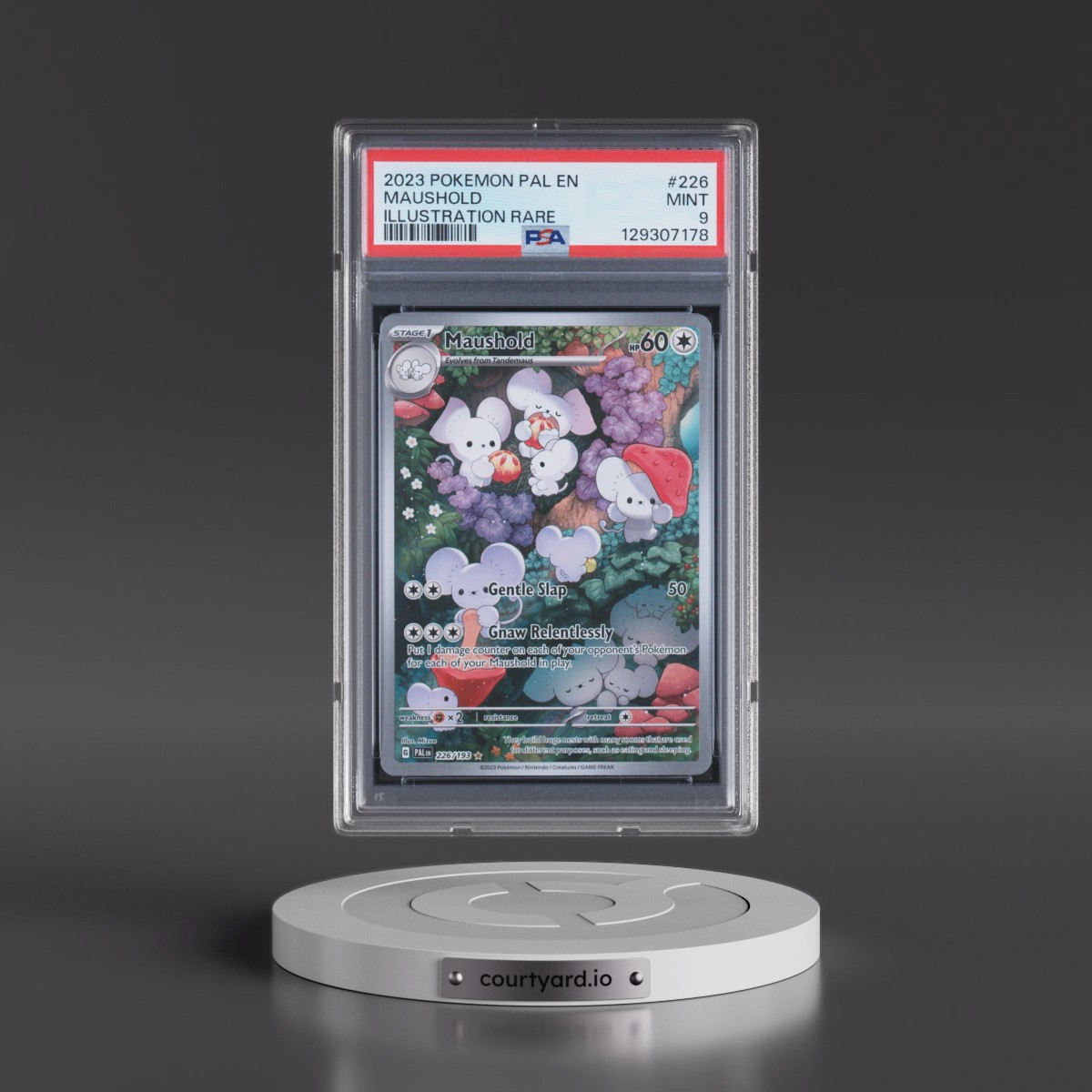 2023 Pokémon Pal EN-Paldea Evolved #226 Maushold - Illustration Rare (PSA 9 MINT)