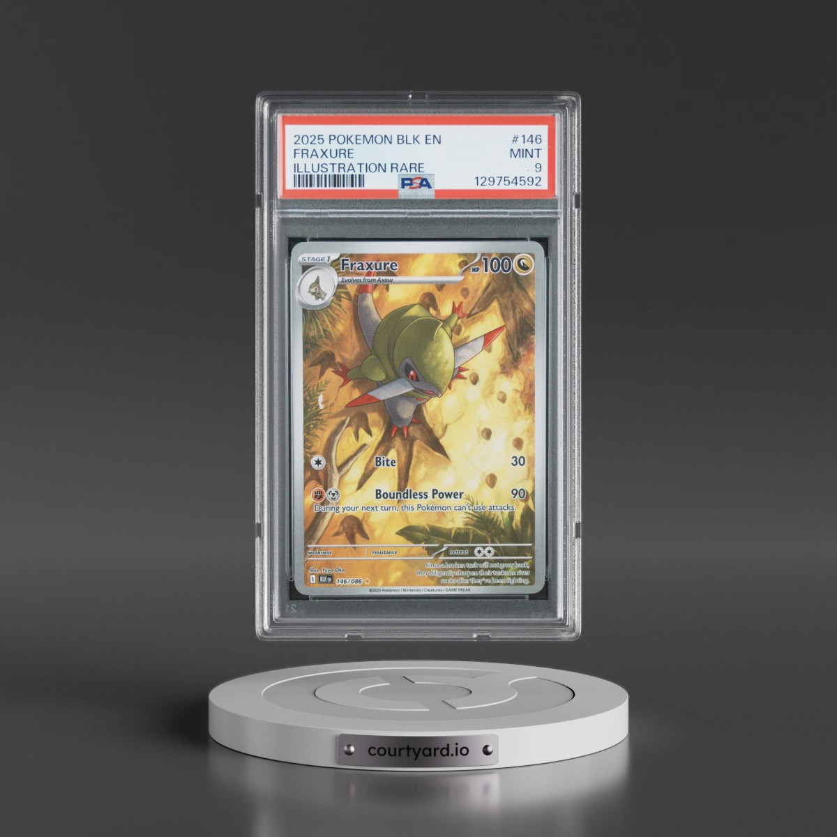 2025 Pokémon Blk EN-Black Bolt #146 Fraxure - Illustration Rare (PSA 9 MINT)