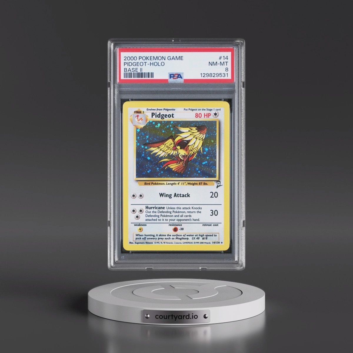 2000 Pokémon Game Base II #14 Pidgeot - Holo (PSA 8 NM-MT)