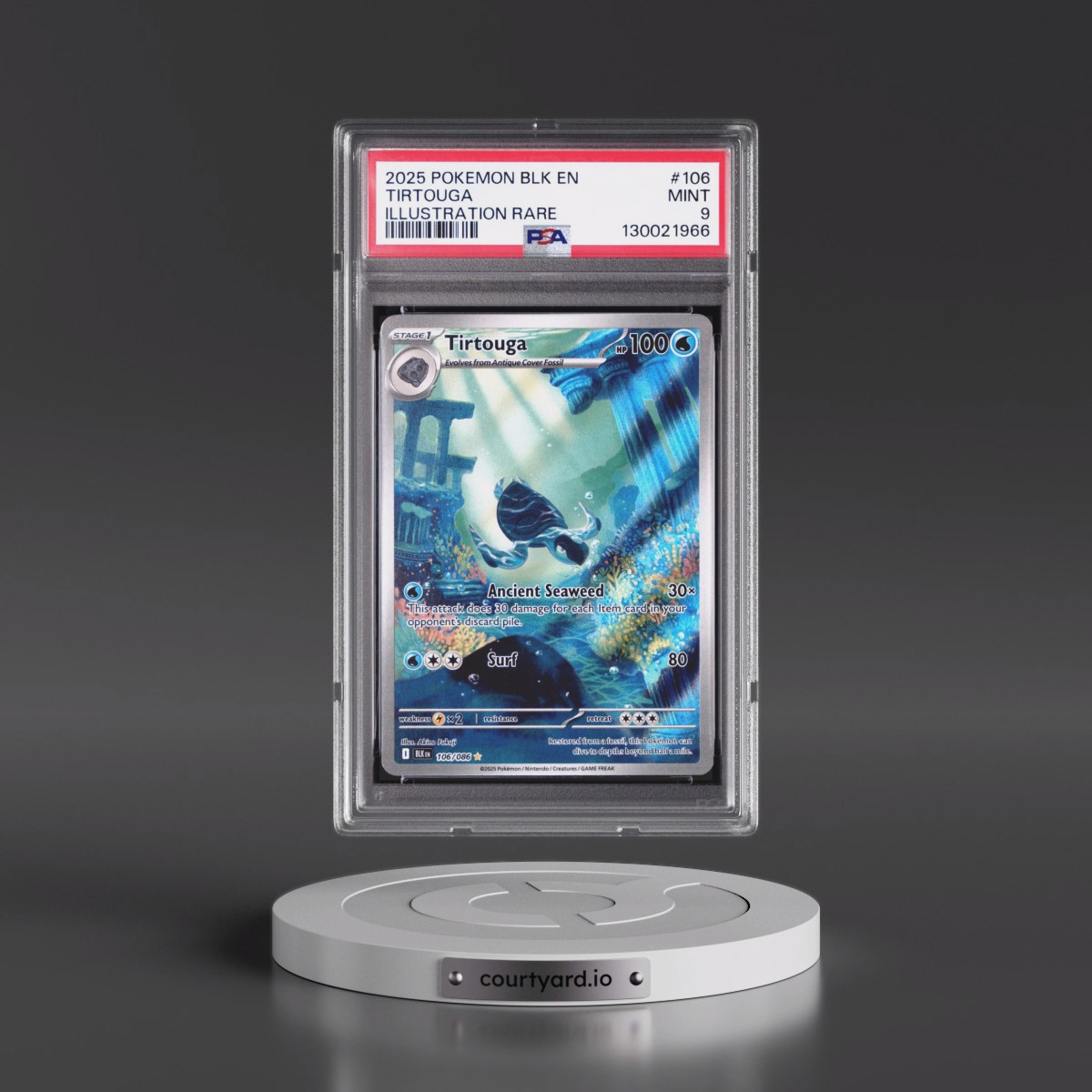 2025 Pokémon Blk EN-Black Bolt #106 Tirtouga - Illustration Rare (PSA 9 MINT)