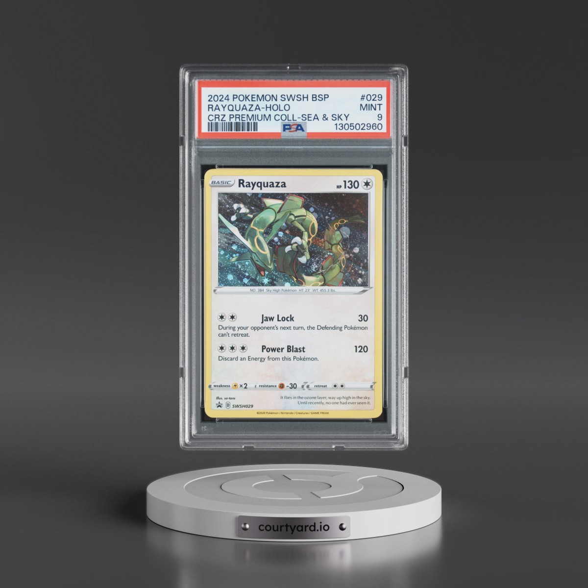 2024 Pokémon Swsh Black Star Promo #029 Rayquaza - Holo Crown Zenith Premium Collection Sea & Sky (PSA 9 MINT)