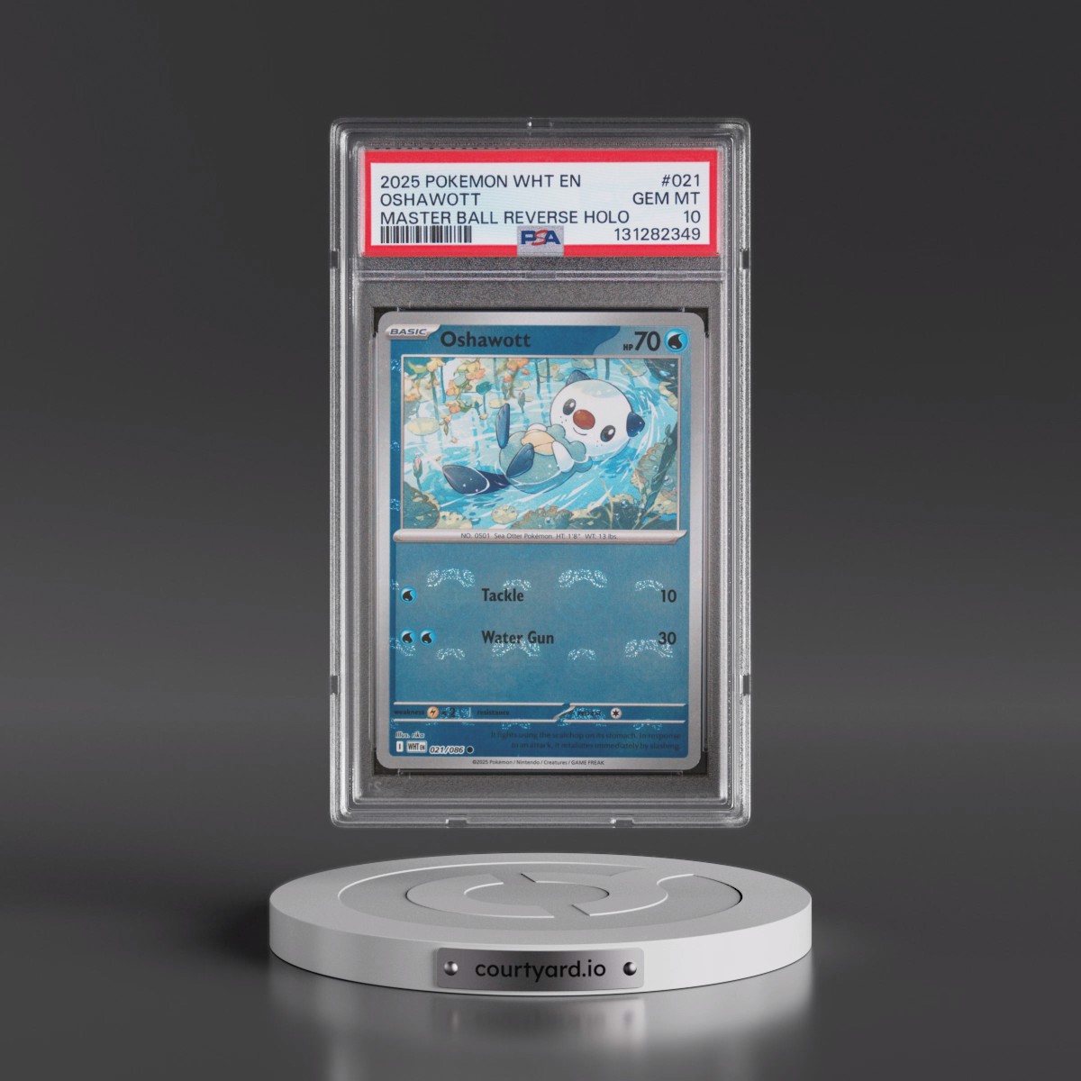 2025 Pokémon Wht EN-White Flare #021 Oshawott - Reverse Holo Master Ball (PSA 10 GEM MINT)