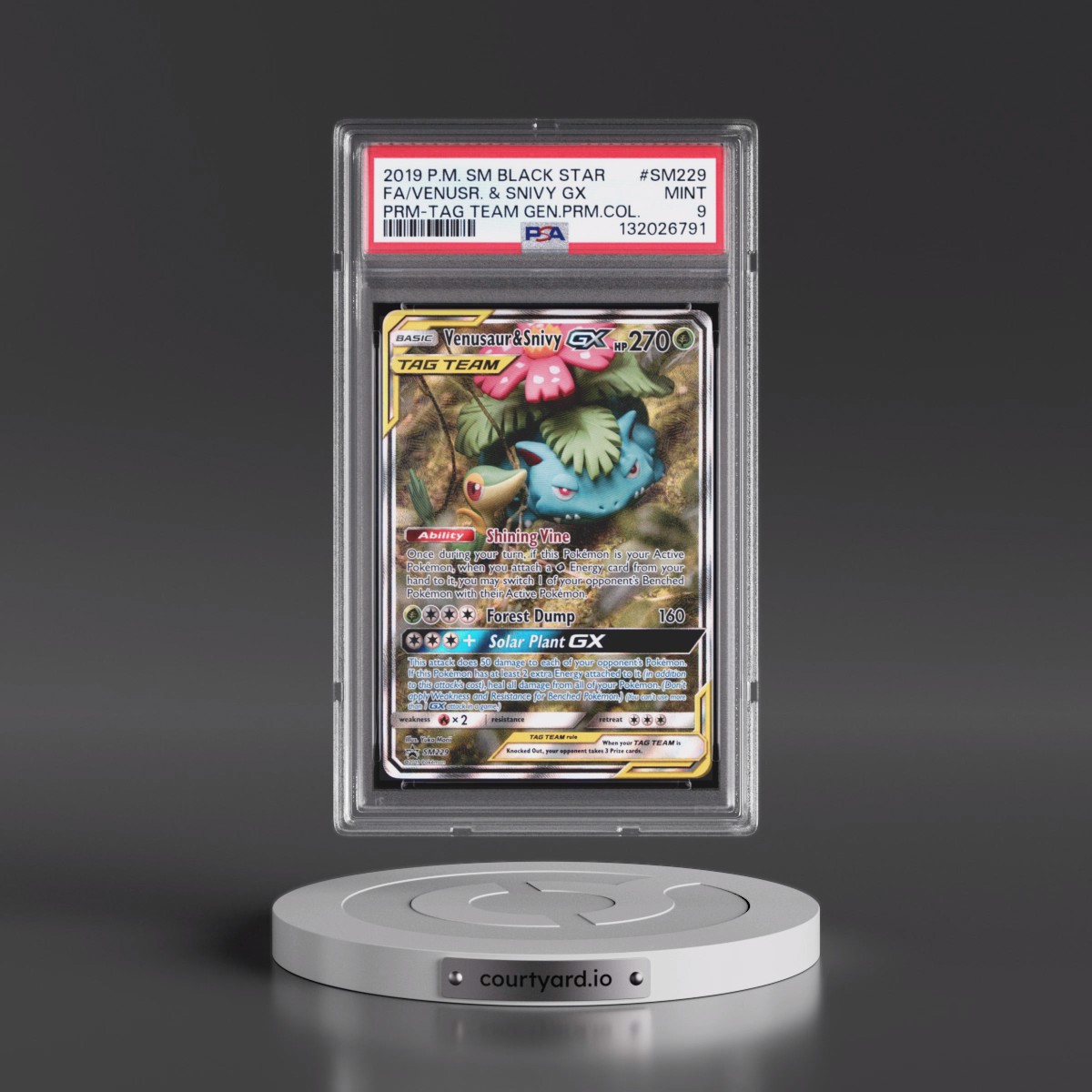 2019 Pokémon SM Black Star Promo #SM229 Venusaur & Snivy GX - Holo Full Art Tag Team Generations Premium Collection (PSA 9 MINT)
