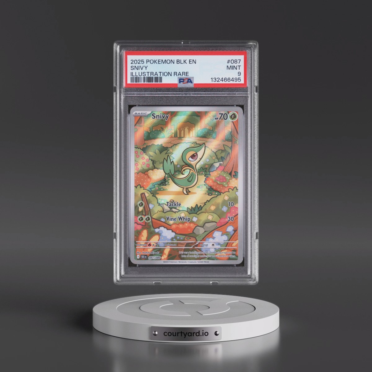 2025 Pokémon Blk EN-Black Bolt #087 Snivy - Illustration Rare (PSA 9 MINT)