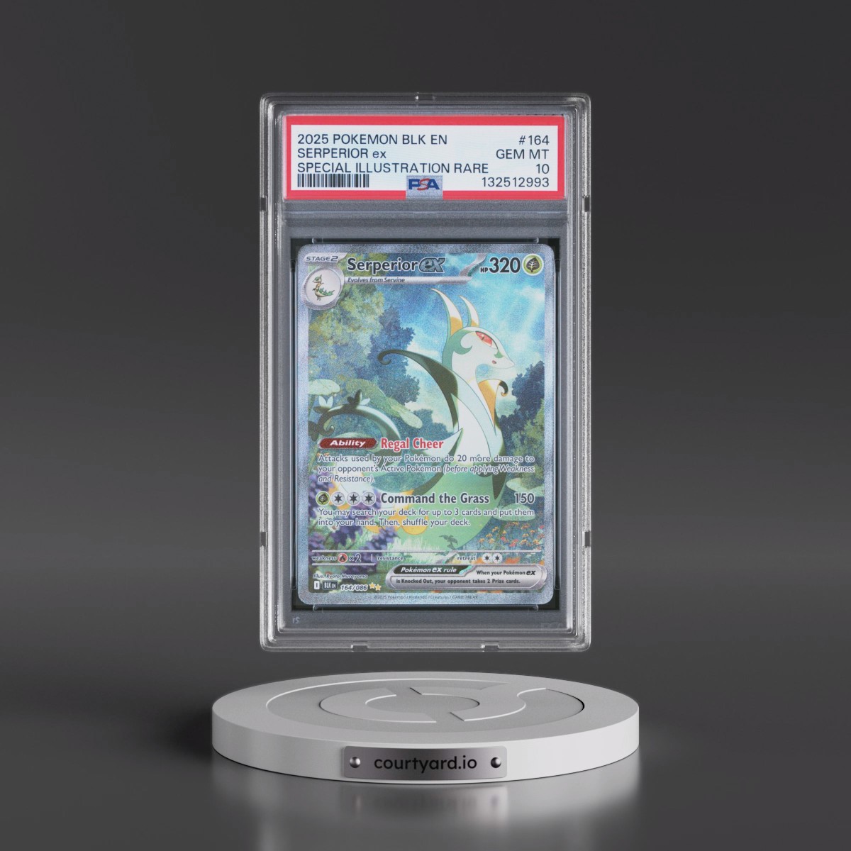 2025 Pokémon Blk EN-Black Bolt #164 Serperior EX - Holo Special Illustration Rare (PSA 10 GEM MINT)