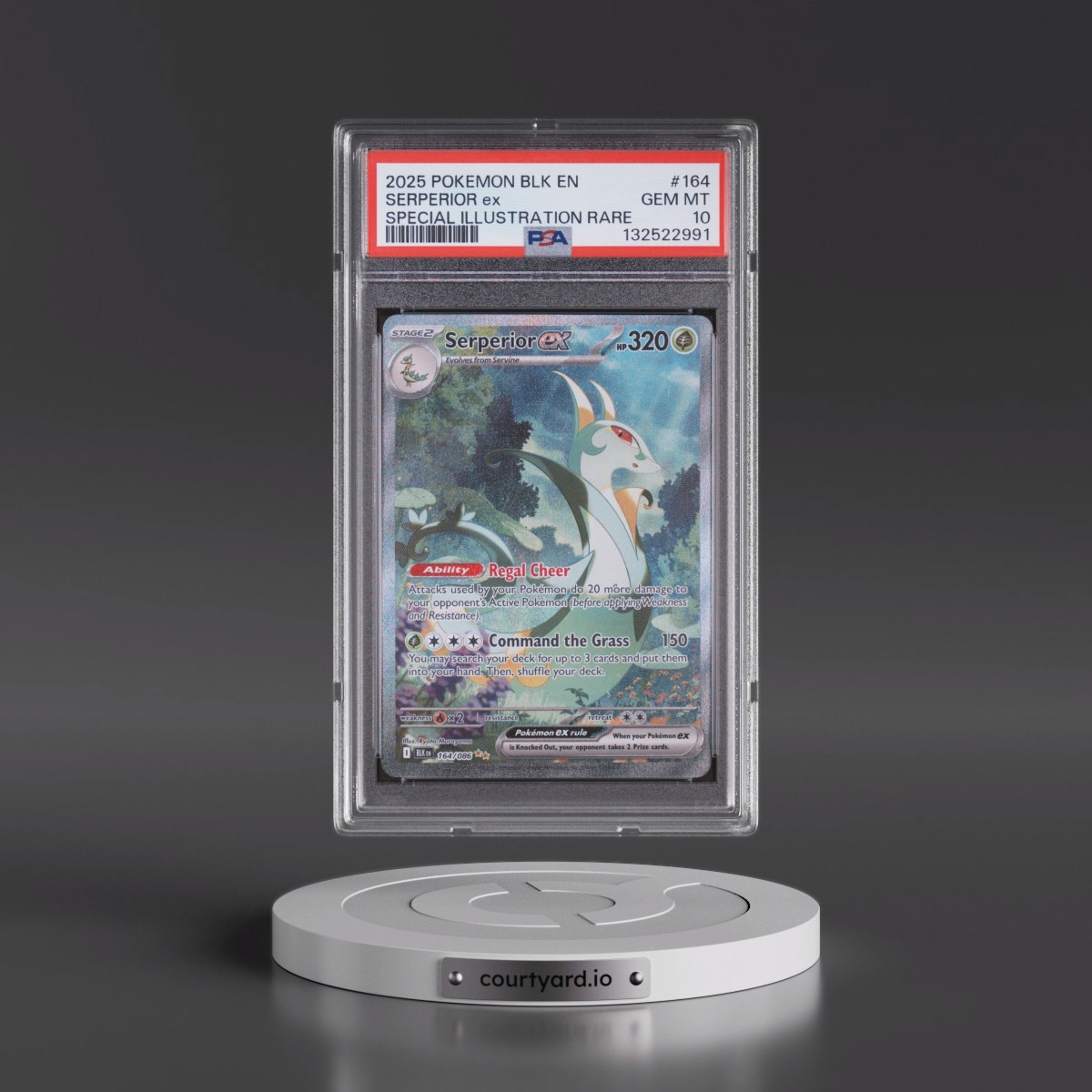 2025 Pokémon Blk EN-Black Bolt #164 Serperior EX - Holo Special Illustration Rare (PSA 10 GEM MINT)