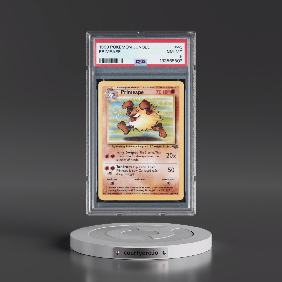 1999 Pokémon Jungle #43 Primeape (PSA 8 NM-MT)