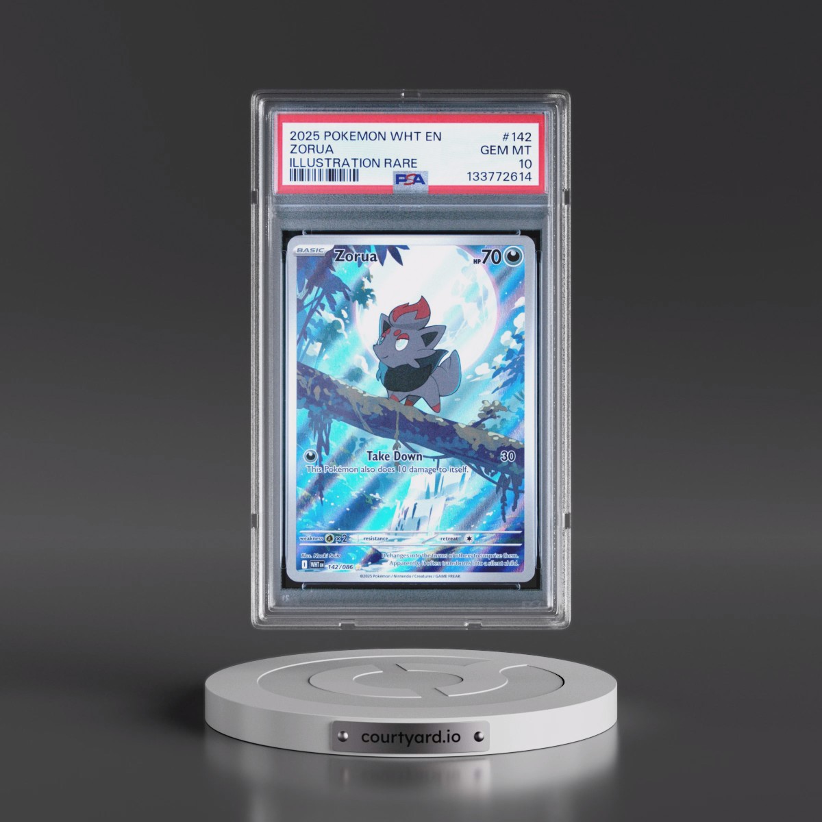 2025 Pokémon Wht EN-White Flare #142 Zorua - Illustration Rare (PSA 10 GEM MINT)