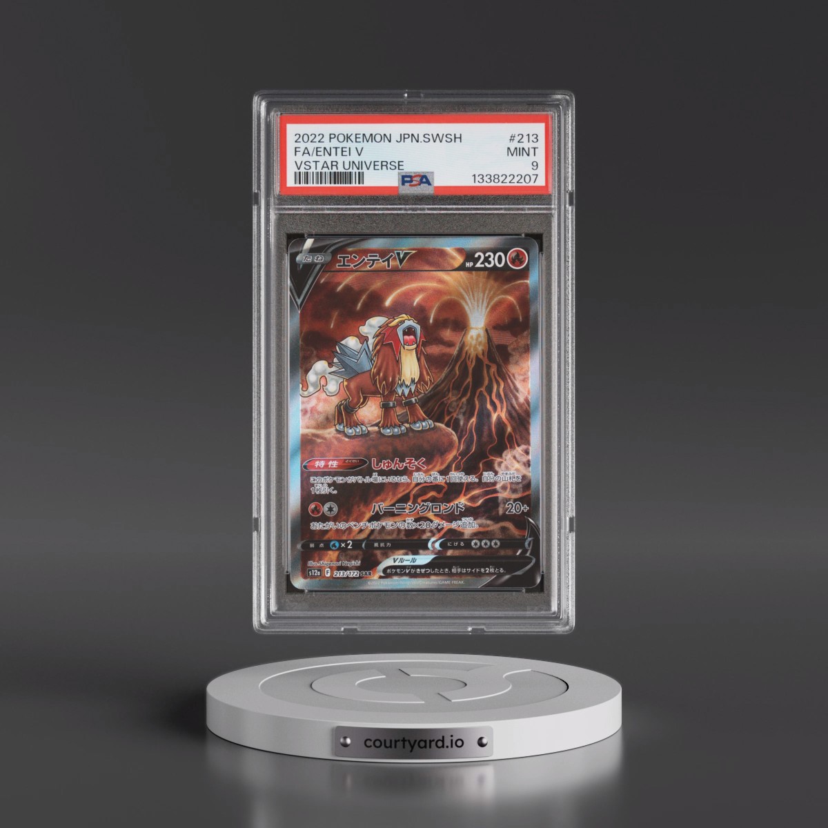 2022 Pokémon Sword & Shield Vstar Universe #213 Entei V - Holo Full Art (PSA 9 MINT)