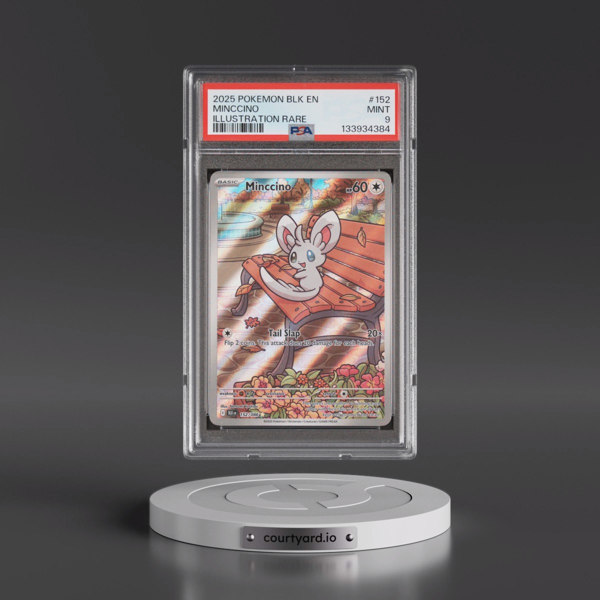 2025 Pokémon Blk EN-Black Bolt #152 Minccino - Illustration Rare (PSA 9 MINT)