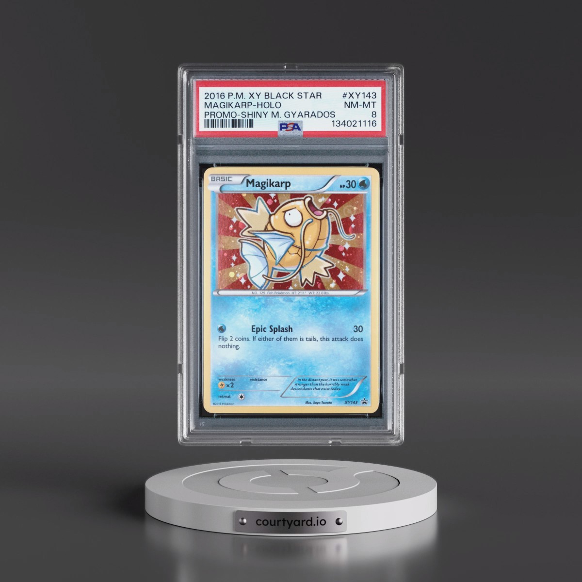 2016 Pokémon XY Black Star Promo #XY143 Magikarp - Holo Shiny Mega Gyarados (PSA 8 NM-MT)