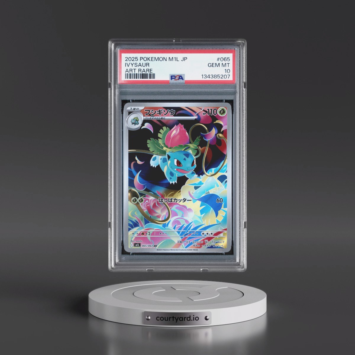 2025 Pokémon M1l-Mega Brave #065 Ivysaur - Art Rare (PSA 10 GEM MINT)