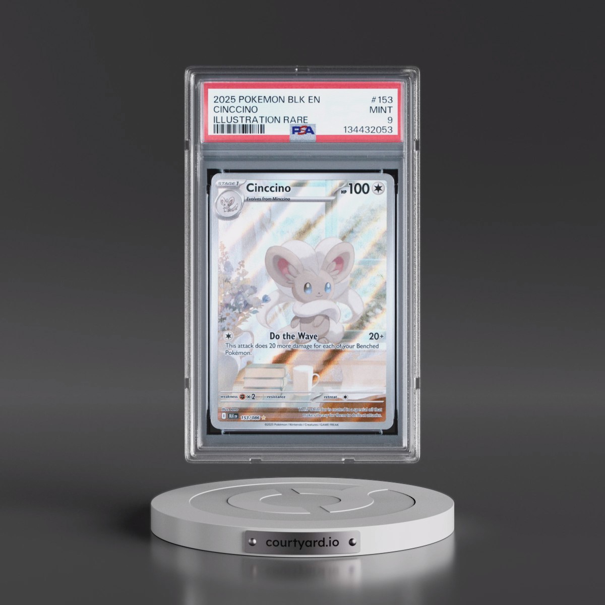 2025 Pokémon Blk EN-Black Bolt #153 Cinccino - Illustration Rare (PSA 9 MINT)