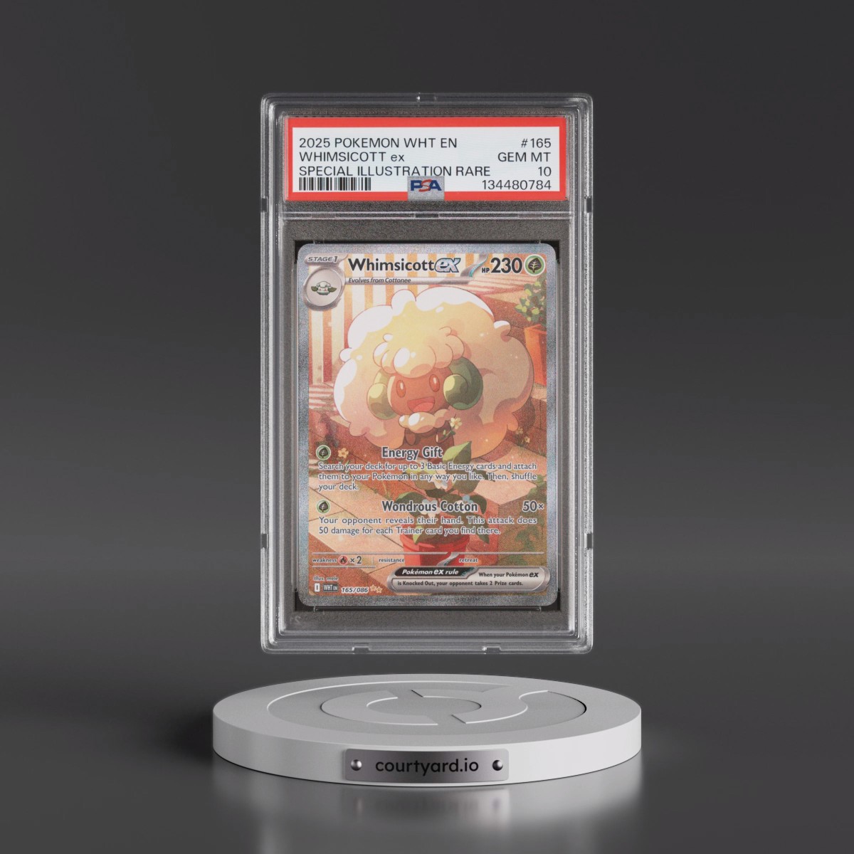 2025 Pokémon Wht EN-White Flare #165 Whimsicott EX - Holo Special Illustration Rare (PSA 10 GEM MINT)