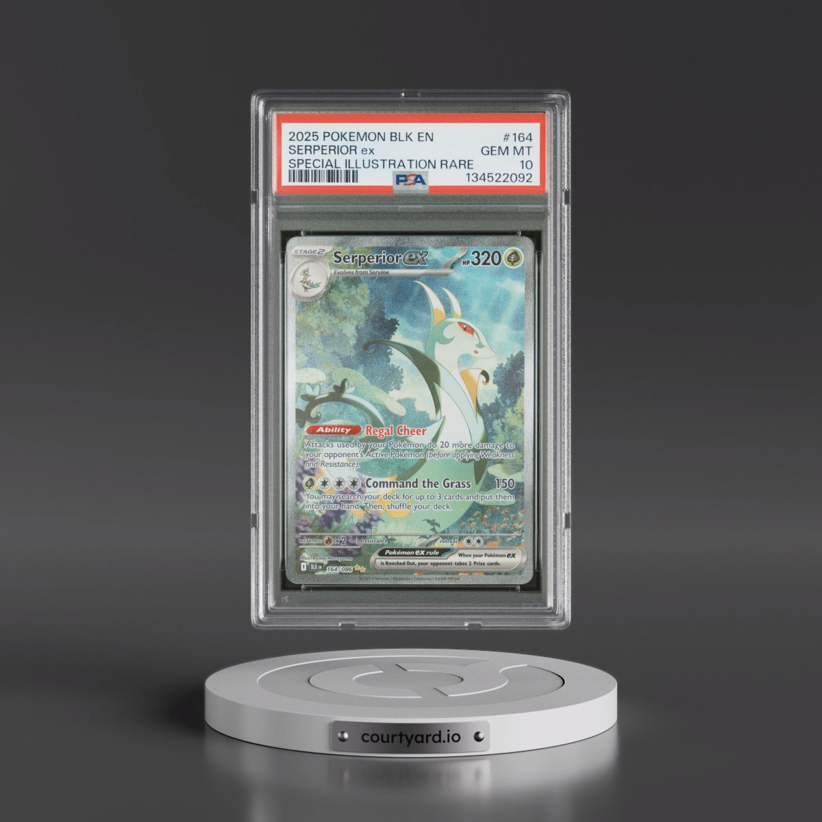 2025 Pokémon Blk EN-Black Bolt #164 Serperior EX - Holo Special Illustration Rare (PSA 10 GEM MINT)