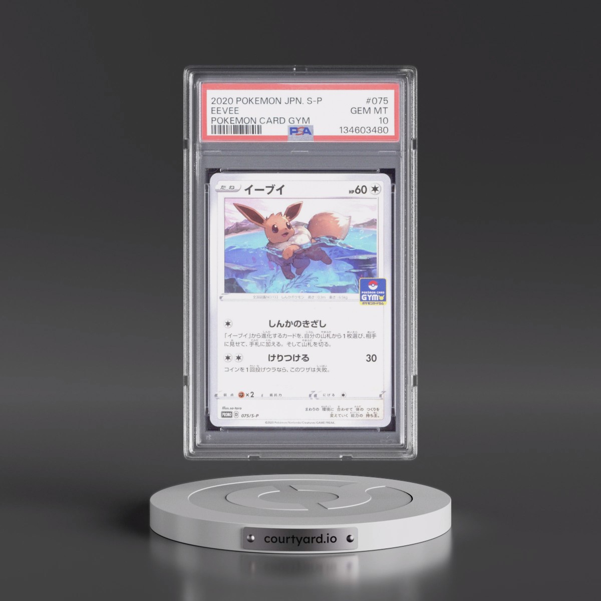2020 Pokémon S Promo #075 Eevee - Pokemon Card Gym (PSA 10 GEM MINT)