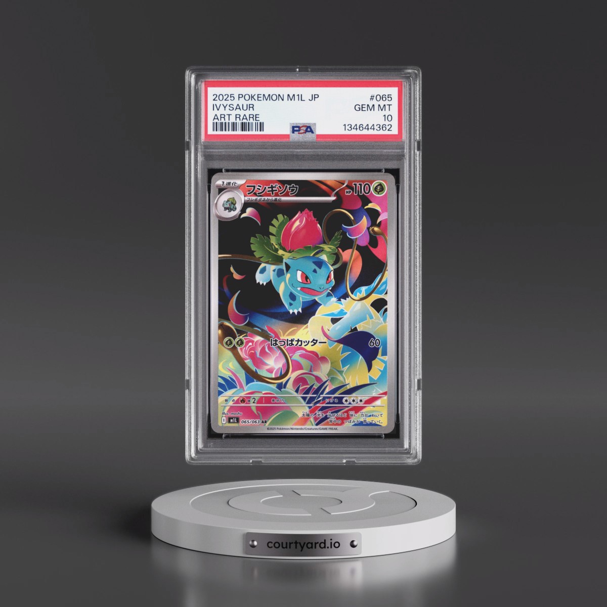 2025 Pokémon M1l-Mega Brave #065 Ivysaur - Art Rare (PSA 10 GEM MINT)