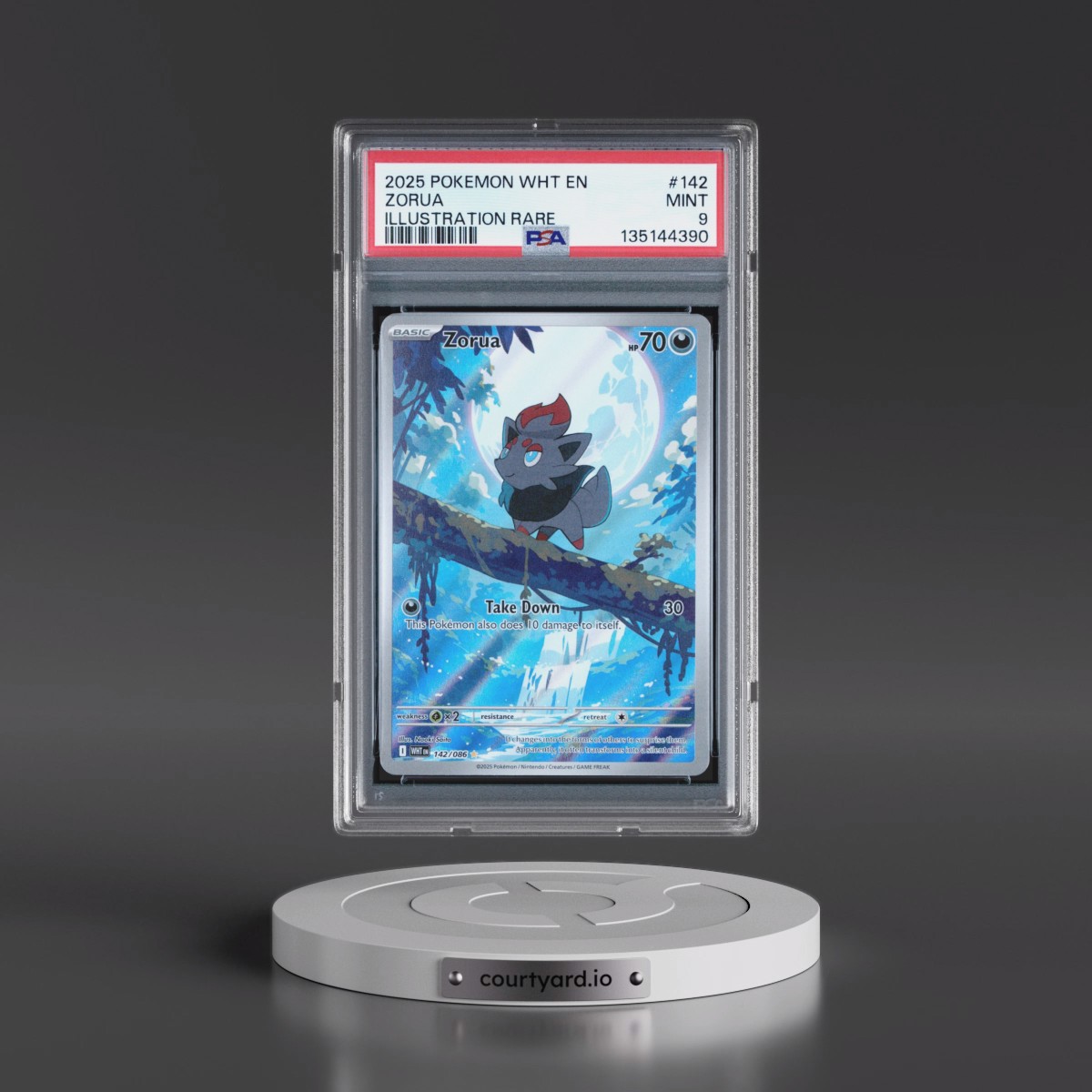 2025 Pokémon Wht EN-White Flare #142 Zorua - Illustration Rare (PSA 9 MINT)