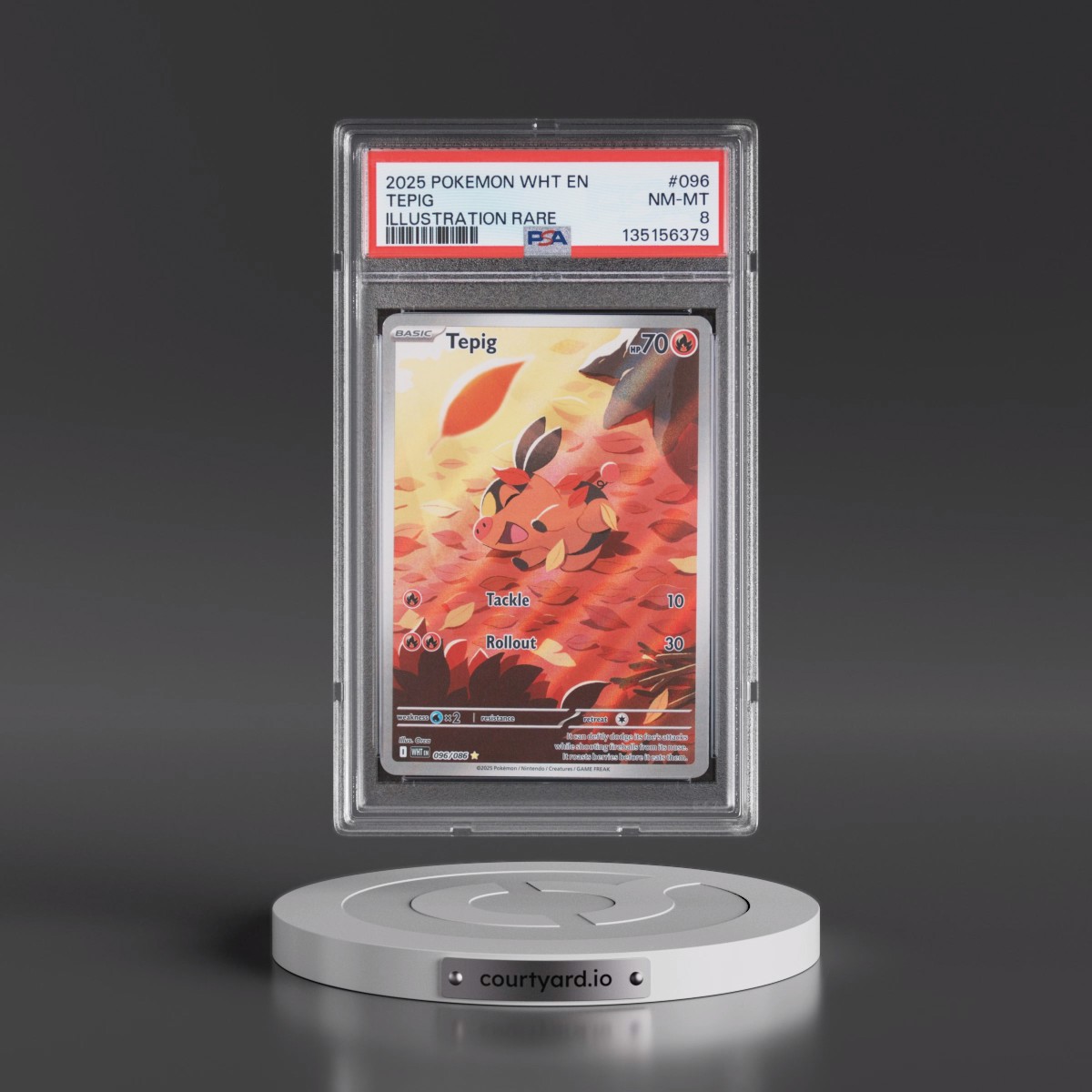 2025 Pokémon Wht EN-White Flare #096 Tepig - Illustration Rare (PSA 8 NM-MT)