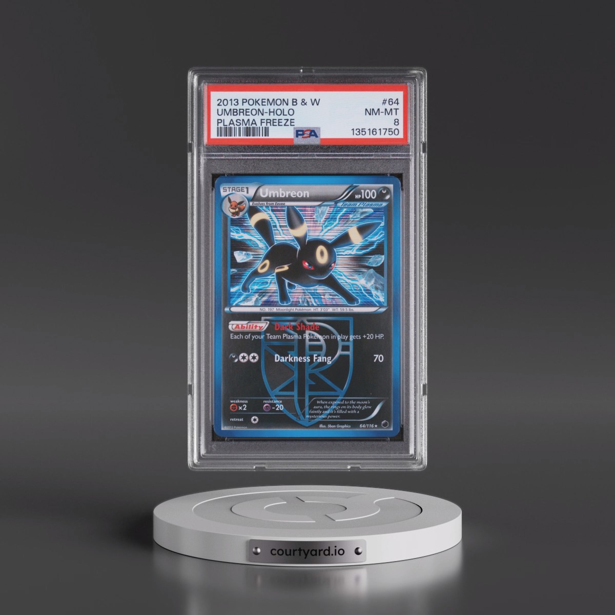 2013 Pokémon Black & White Plasma Freeze #64 Umbreon - Holo (PSA 8 NM-MT)