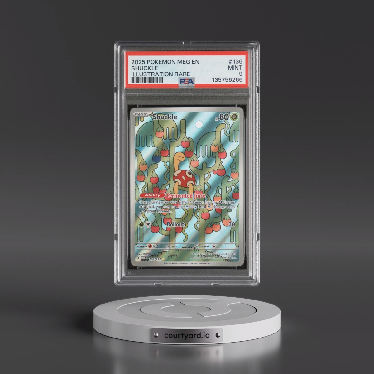 2025 Pokémon Meg EN-Mega Evolution #136 Shuckle - Illustration Rare (PSA 9 MINT)