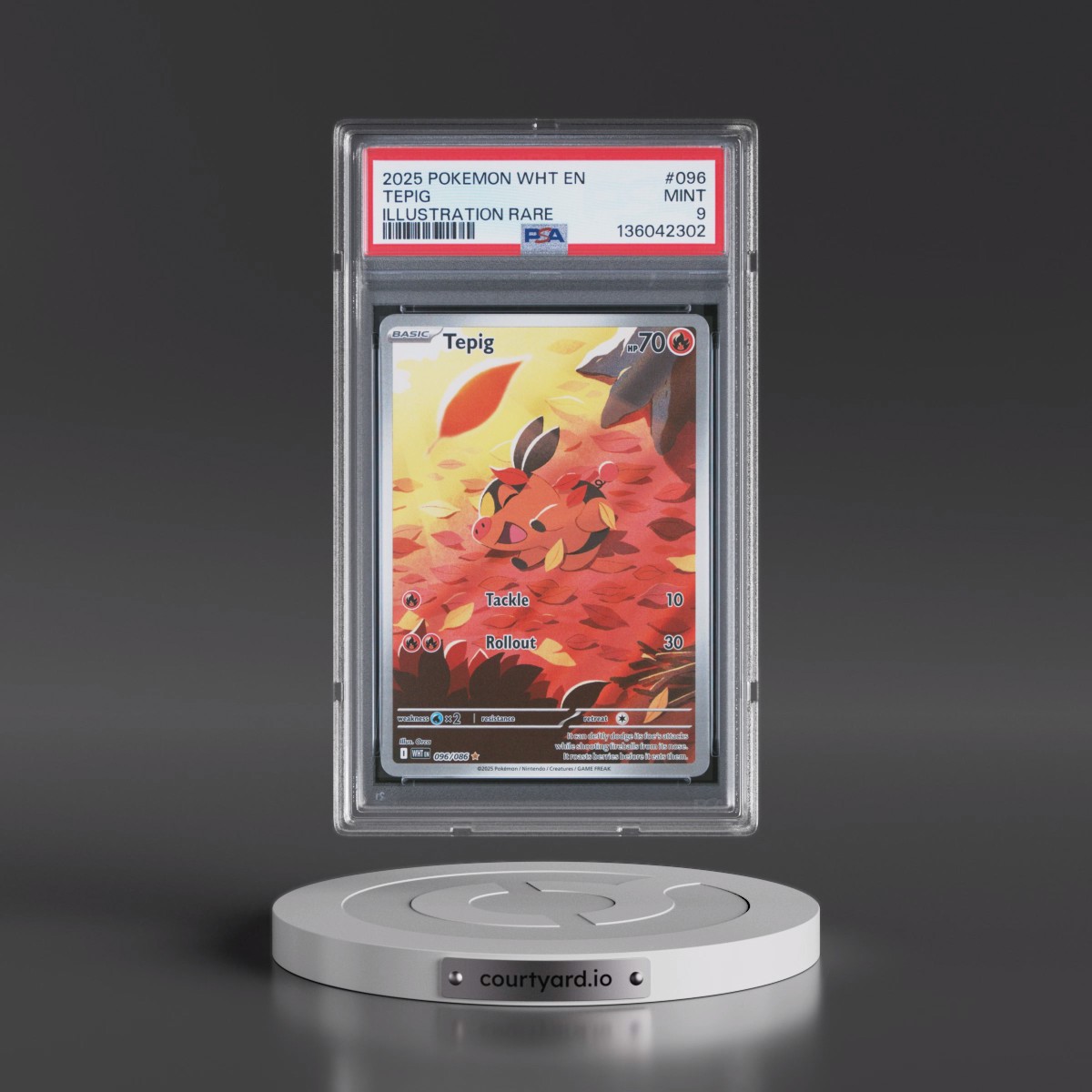 2025 Pokémon Wht EN-White Flare #096 Tepig - Illustration Rare (PSA 9 MINT)