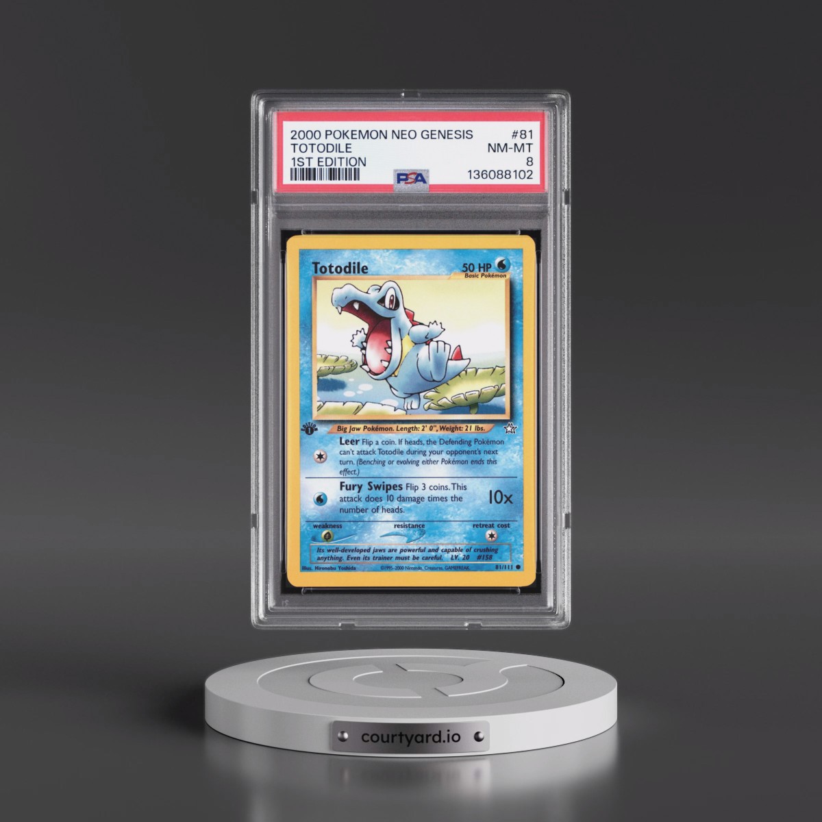 2000 Pokémon Neo Genesis Totodile - 1st Edition #81 PSA 8