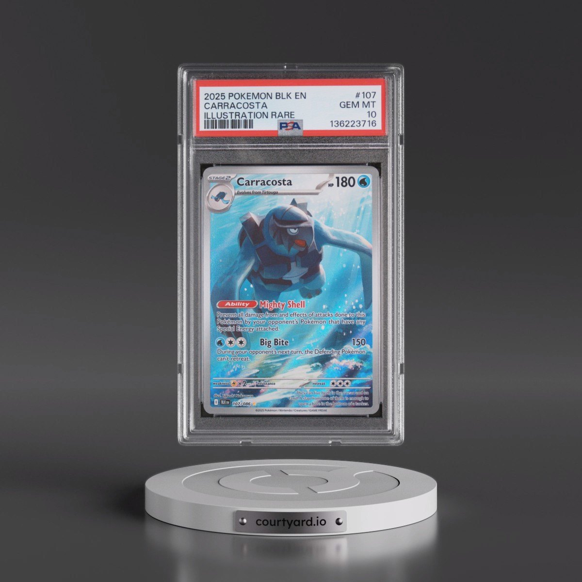2025 Pokémon Blk EN-Black Bolt #107 Carracosta - Illustration Rare (PSA 10 GEM MINT)