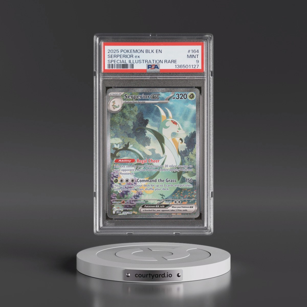 2025 Pokémon Blk EN-Black Bolt #164 Serperior EX - Holo Special Illustration Rare (PSA 9 MINT)
