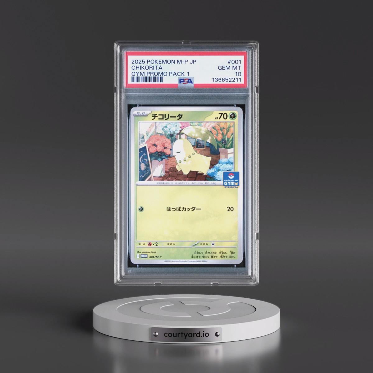 2025 Pokémon M-P Promo #001 Chikorita - Gym Promo Pack 1 (PSA 10 GEM MINT)