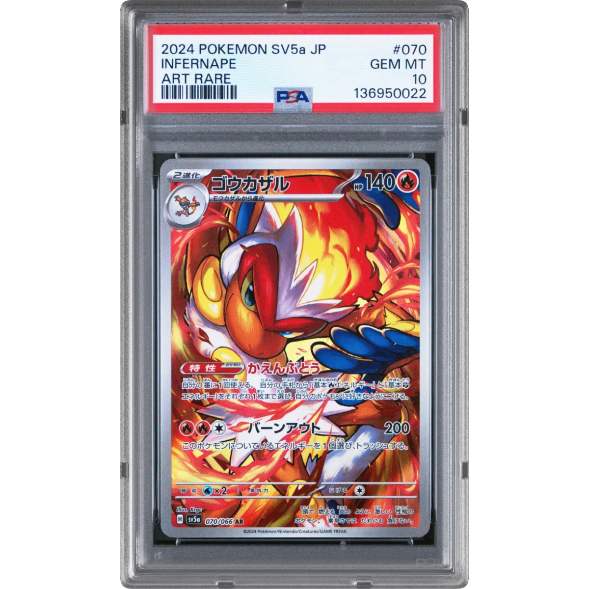 Pokémon Haze Infernape